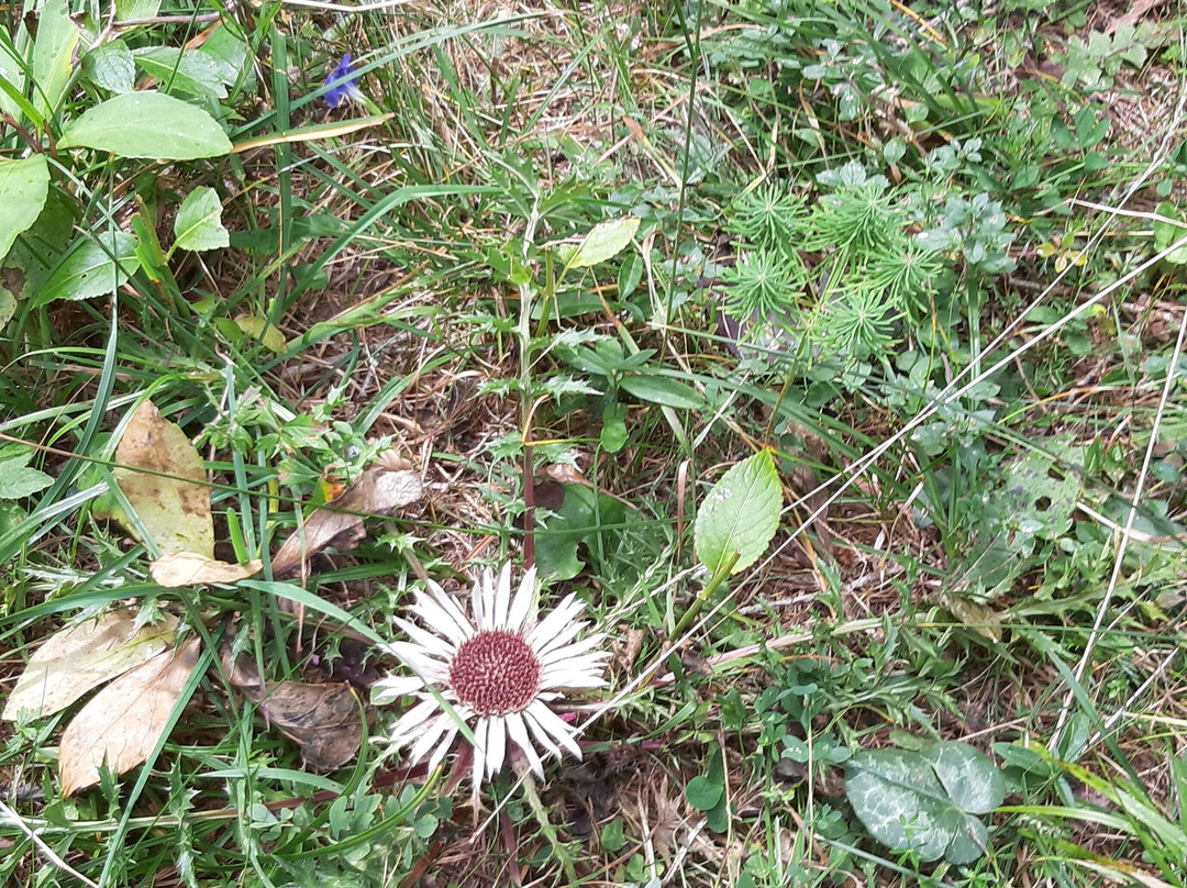 Maya Bled Transfers-布莱德必去景点