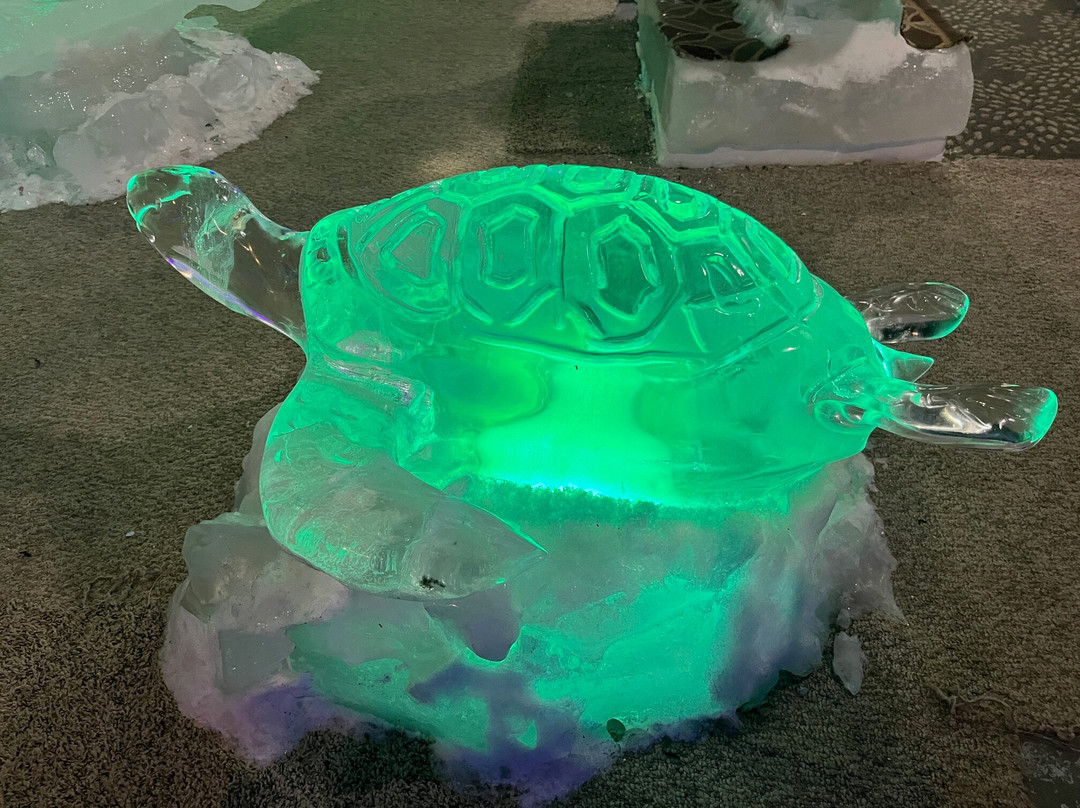 Fairbanks Ice Museum-费尔班克斯必去景点