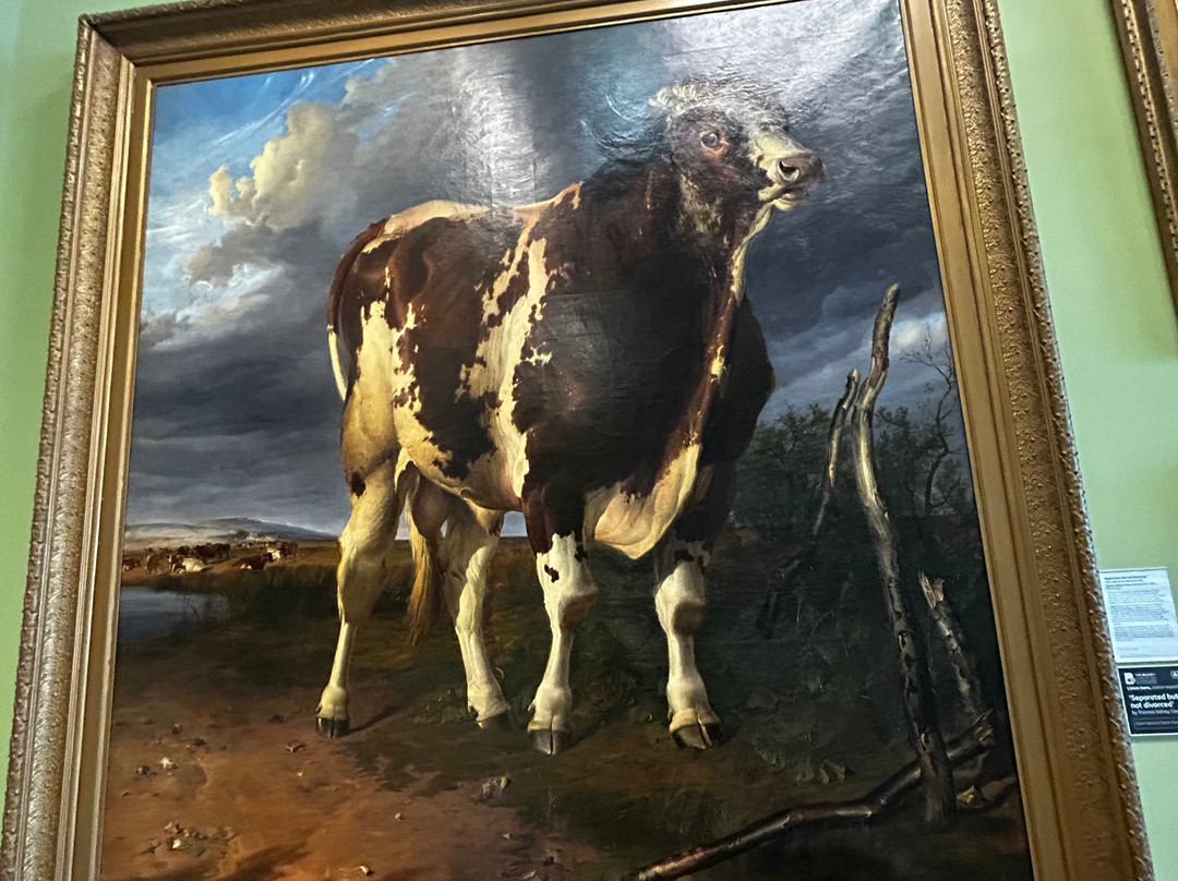 The Beaney House of Art & Knowledge-坎特伯雷必去景点