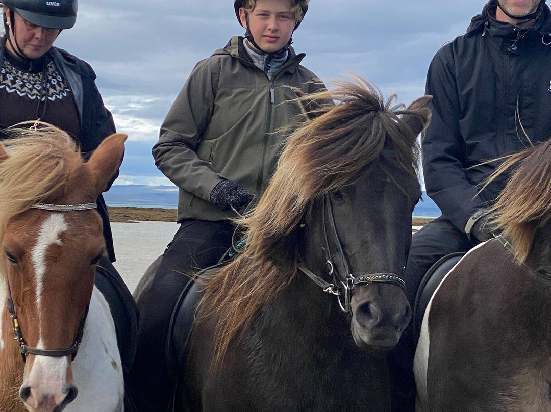 Bakkahestar-Eyrarbakki必去景点