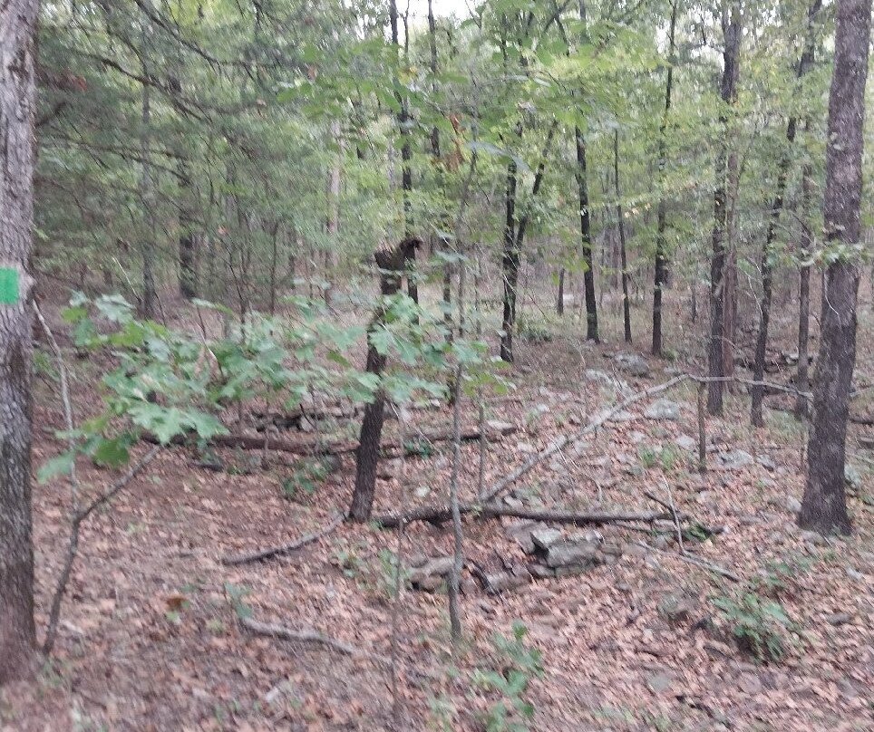 Woolly Hollow State Park-Greenbrier必去景点