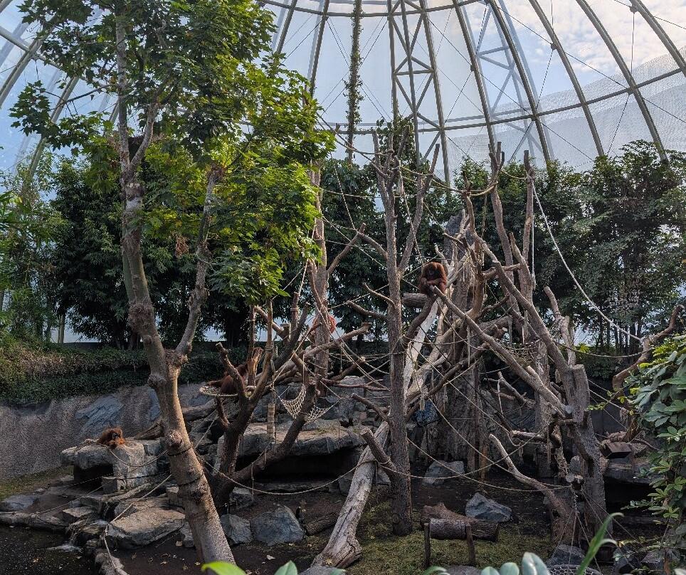 Tierpark Hagenbeck-汉堡必去景点