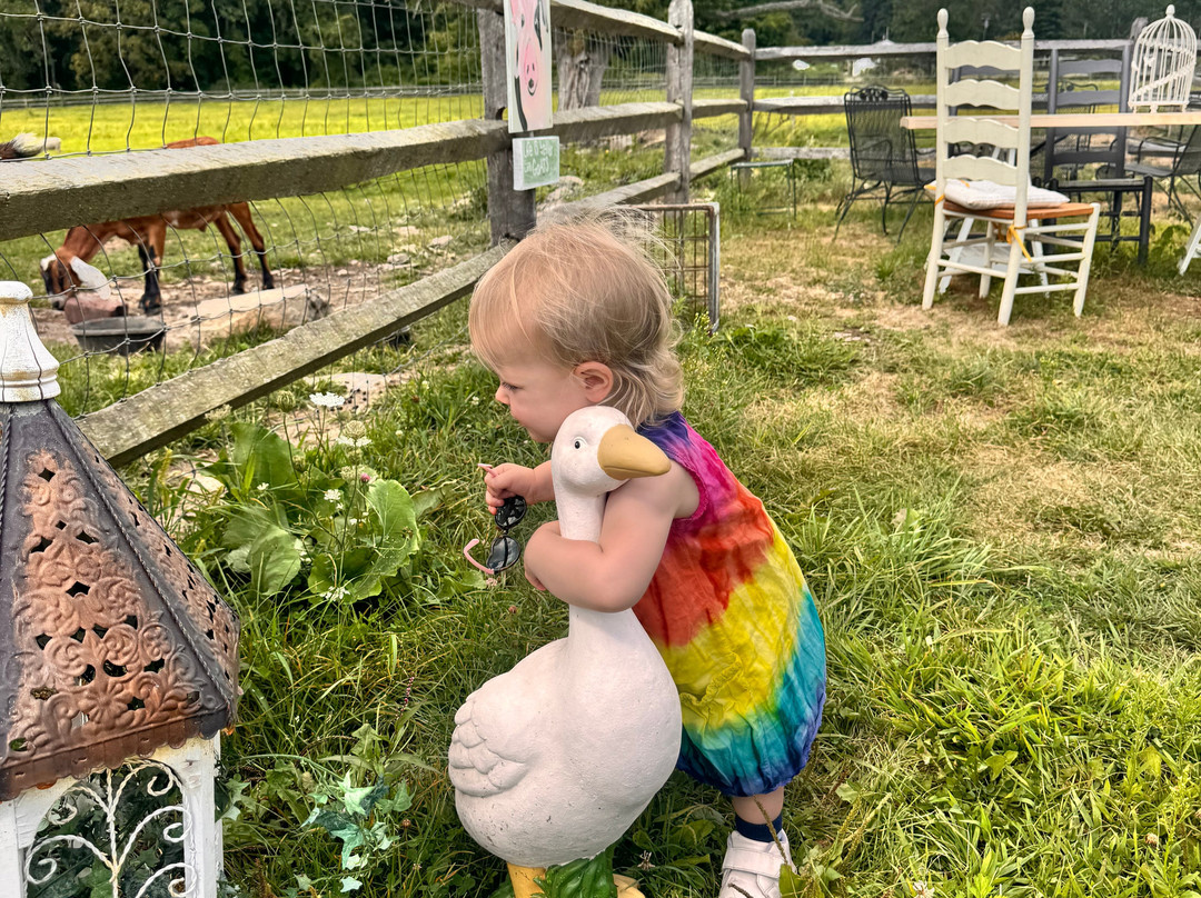 Blue Iris Farm-Lebanon必去景点