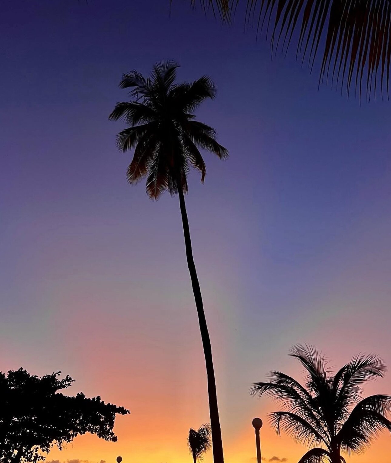 St. James Club & Villas-浴室