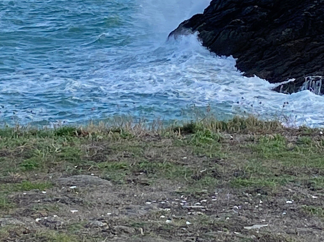 TourTailors-卡斯凯什必去景点