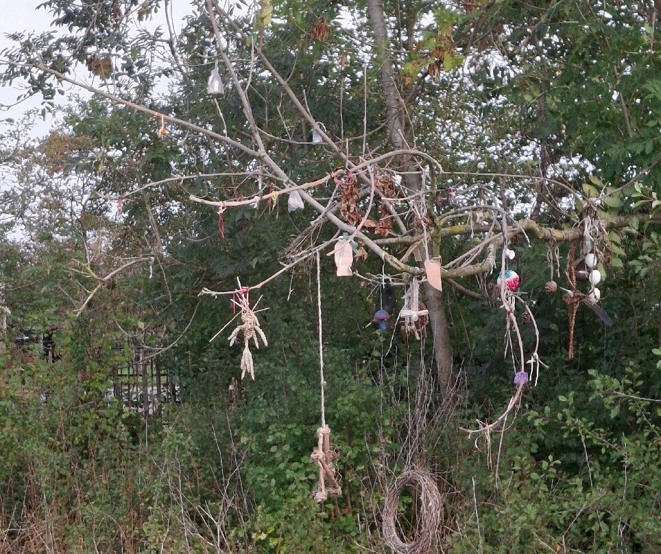 Rollright Stones-Rollright必去景点