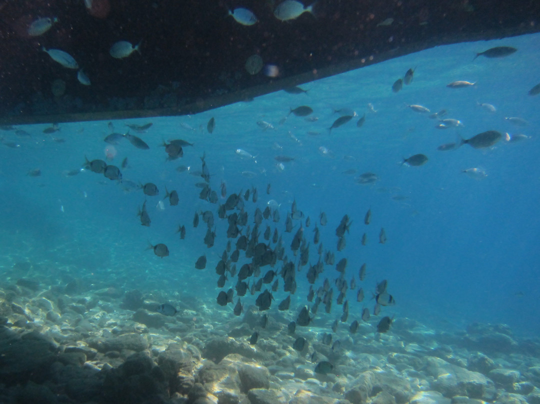 Aquapro Dive Center-Bitez必去景点