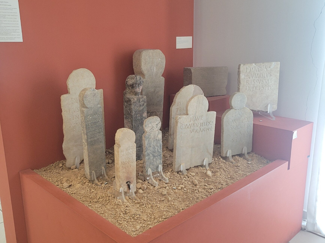 National Archaeological Museum of Crotone-克罗托内必去景点