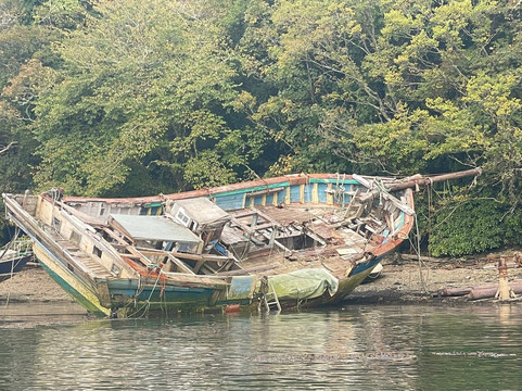 Fowey Boat Hire-福伊必去景点