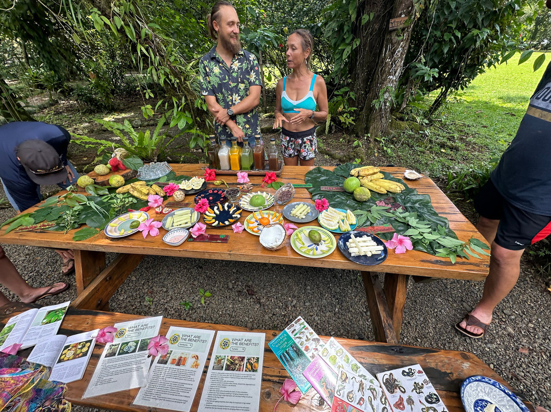 Shooting Star Studio-帕沃尼斯必去景点