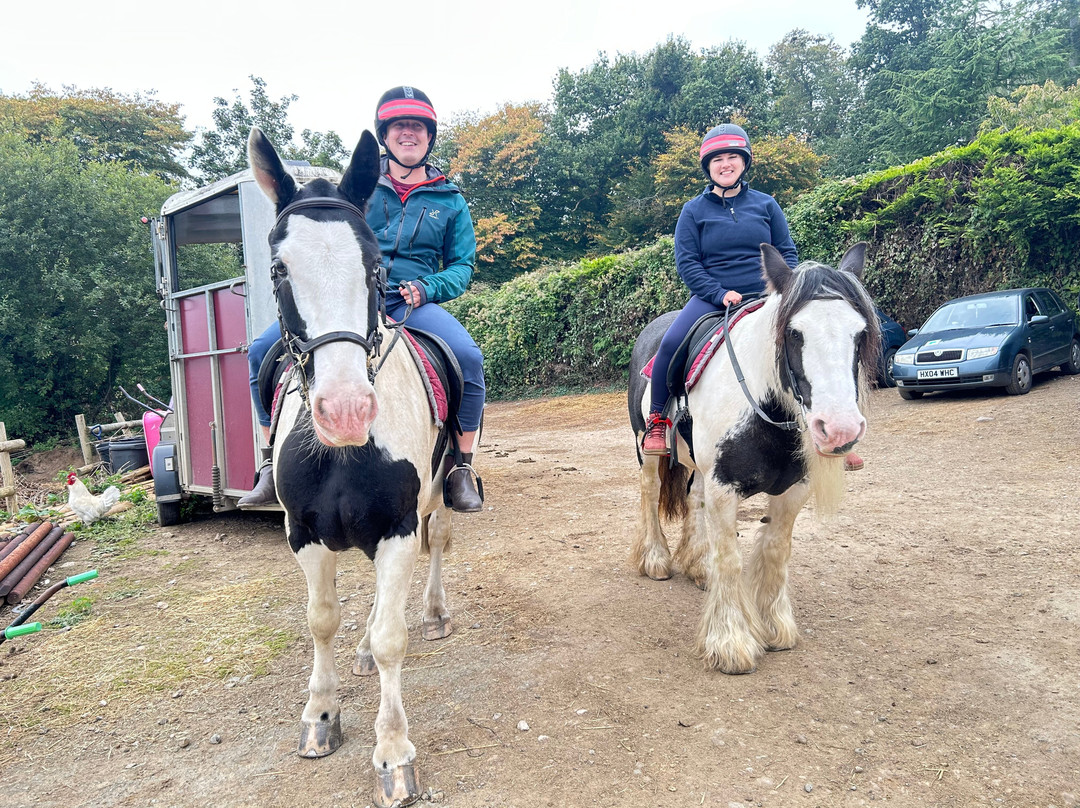 Finlake Riding Centre-Chudleigh必去景点