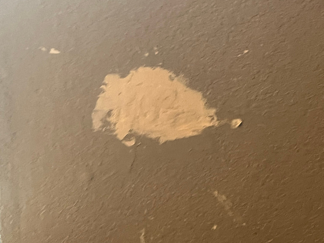 Super 8 by Wyndham Conway主图