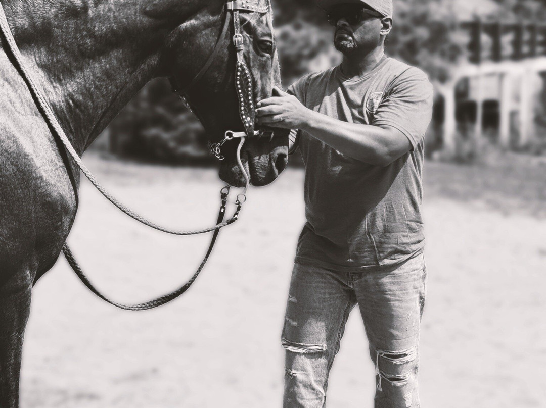 Sunshine Riding Trails - Day Tours-巴拿马城海滩必去景点