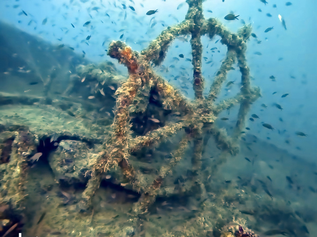 Diving 220 bar-Montepaone Lido必去景点