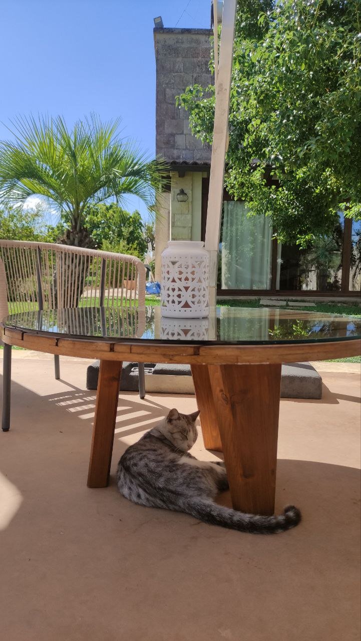 Tenuta Donna Giulia-泳池