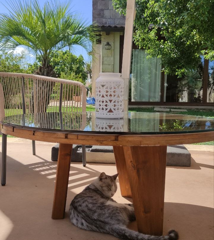 Tenuta Donna Giulia主图