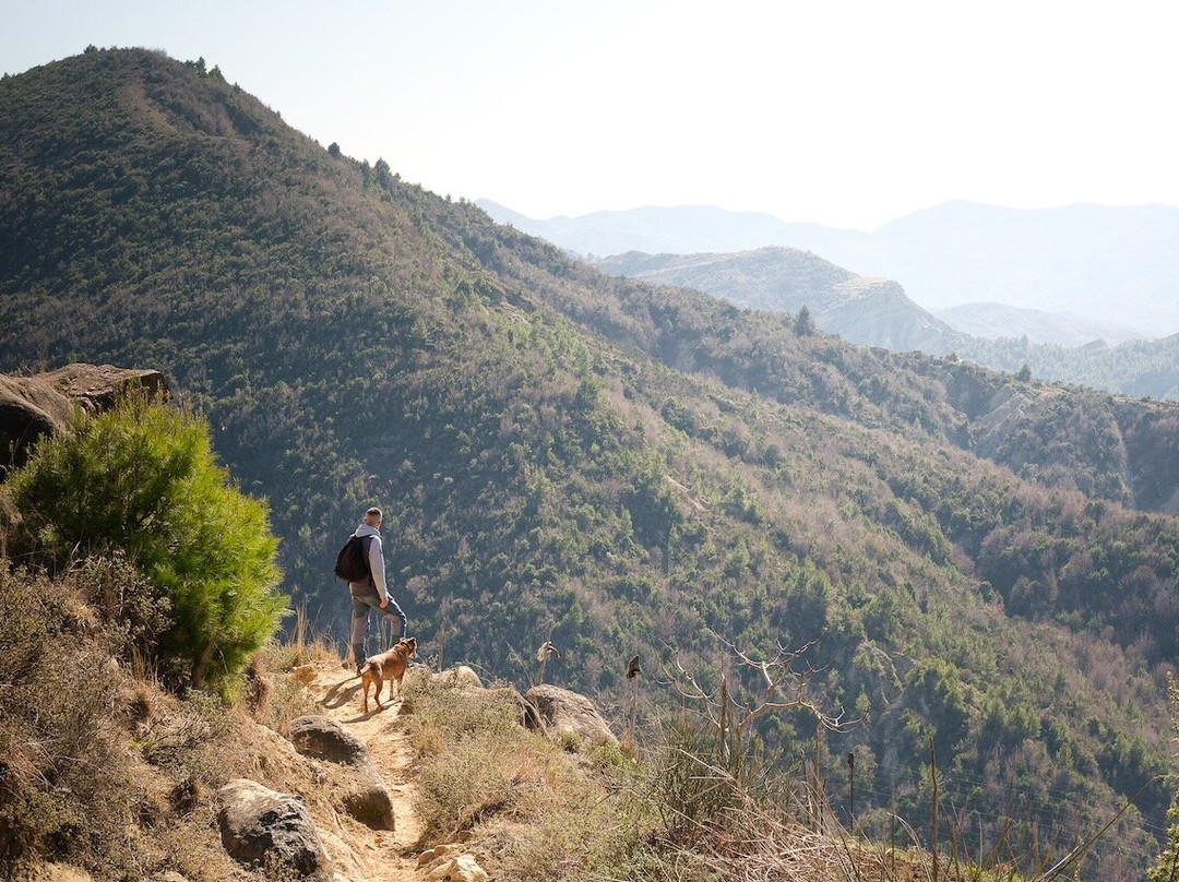 Tirana Weekends-地拉那必去景点