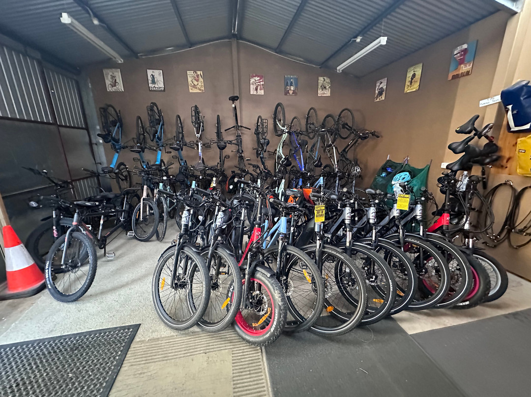 Riesling Trail Bike Hire-克莱尔必去景点