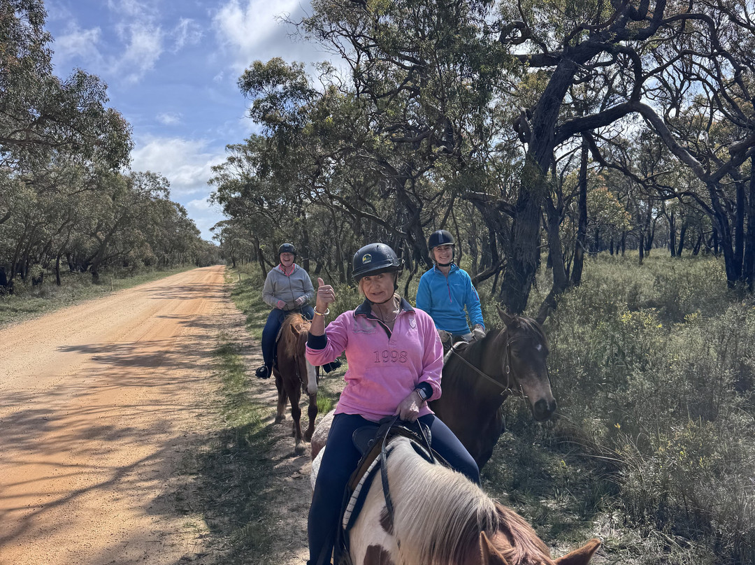 Spring Creek Horse Rides-贝尔布拉必去景点