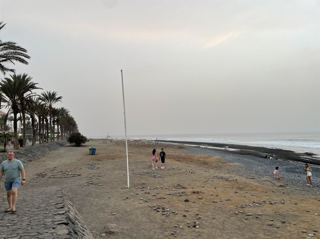 Playa De Las Americas-美洲海滩必去景点