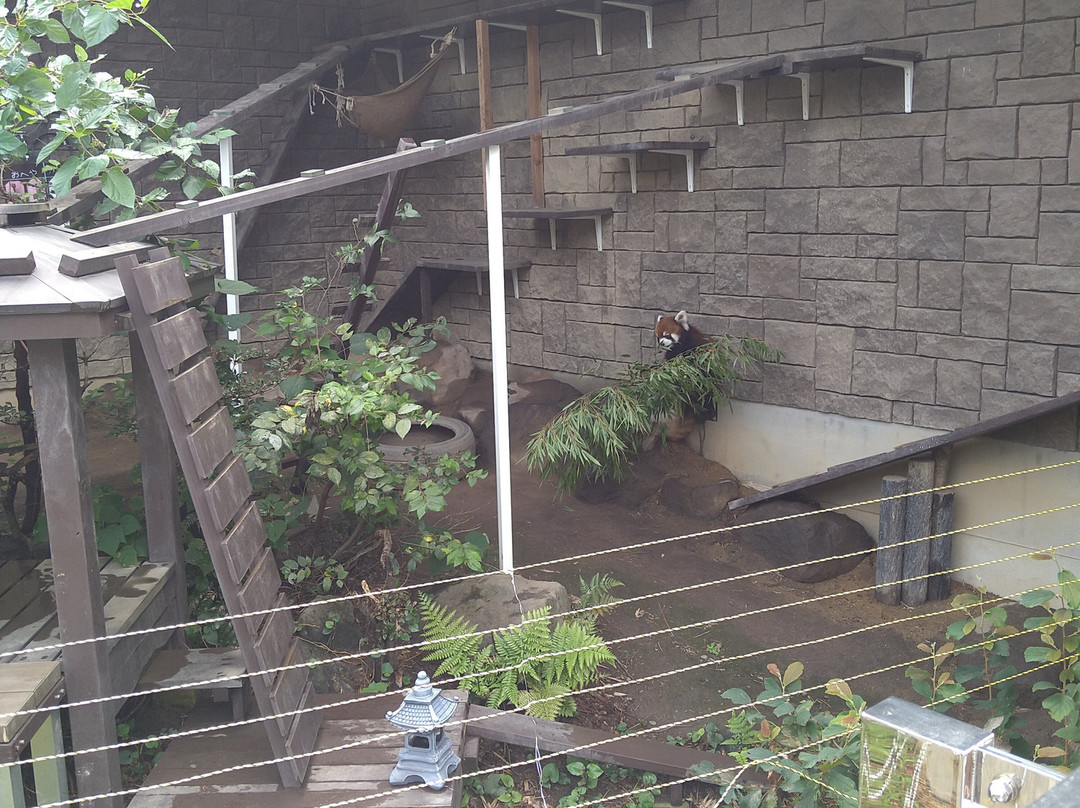 Hamamatsu Zoo logical Garden-滨松市必去景点