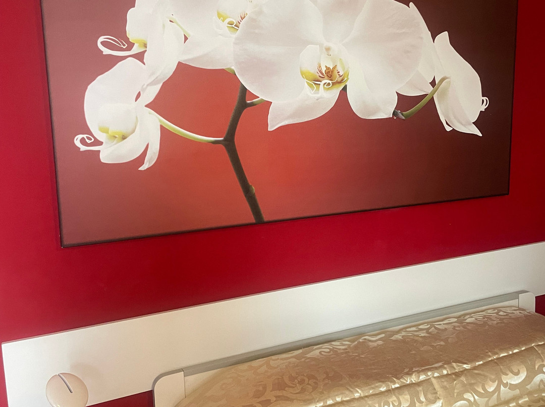 Hotel Lago Maggiore主图