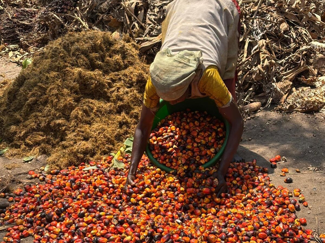 Burundi Discovery Tours-布松布拉必去景点