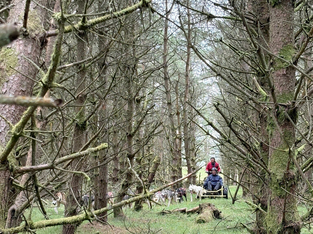 Bowland Trails-Blairgowrie必去景点