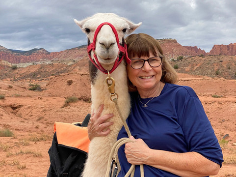 Wilderness Ridge Adventures-托里必去景点