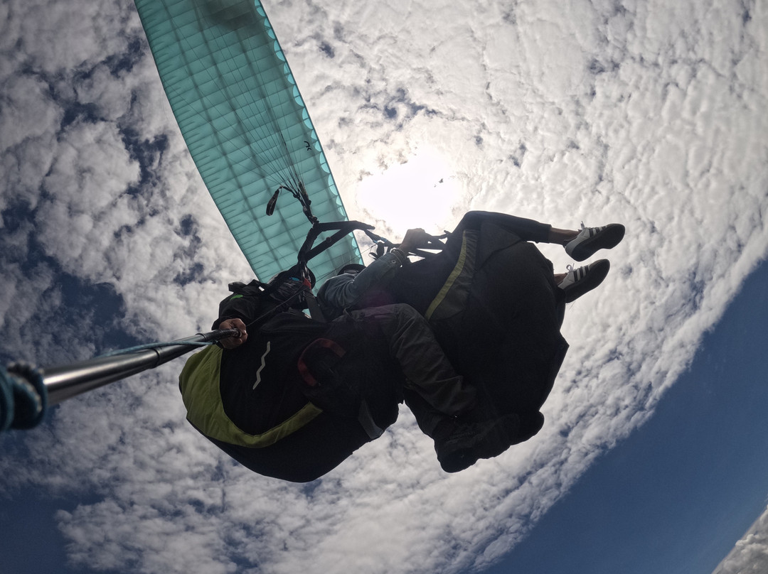 Dream Flying Paragliding-麦德林必去景点