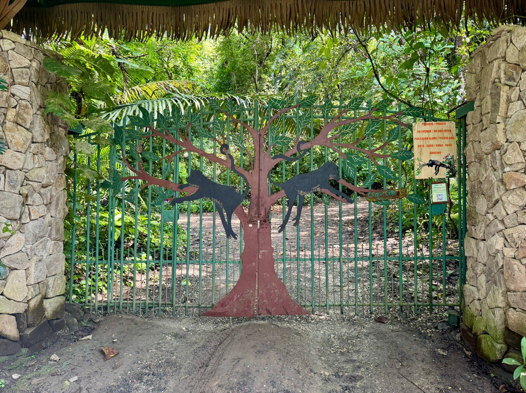 Sibu Wildlife Sanctuary-诺萨拉必去景点