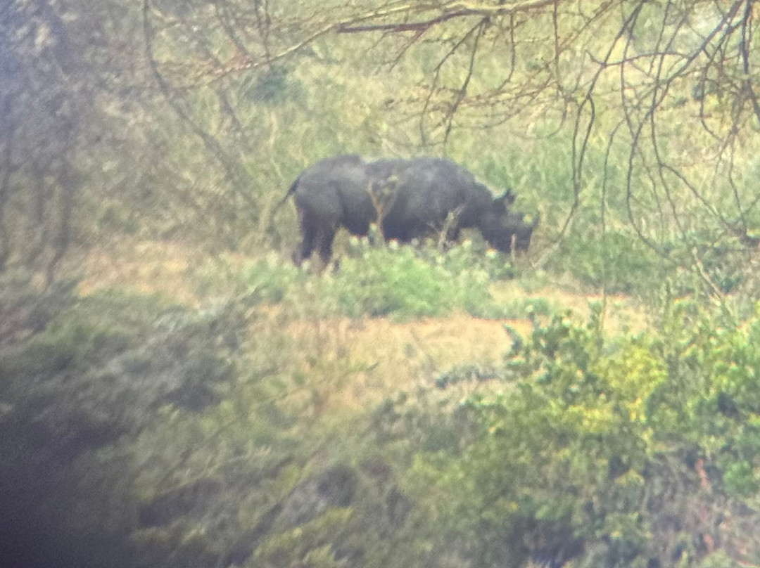 Afromasai Eastern Safaris-阿鲁沙必去景点