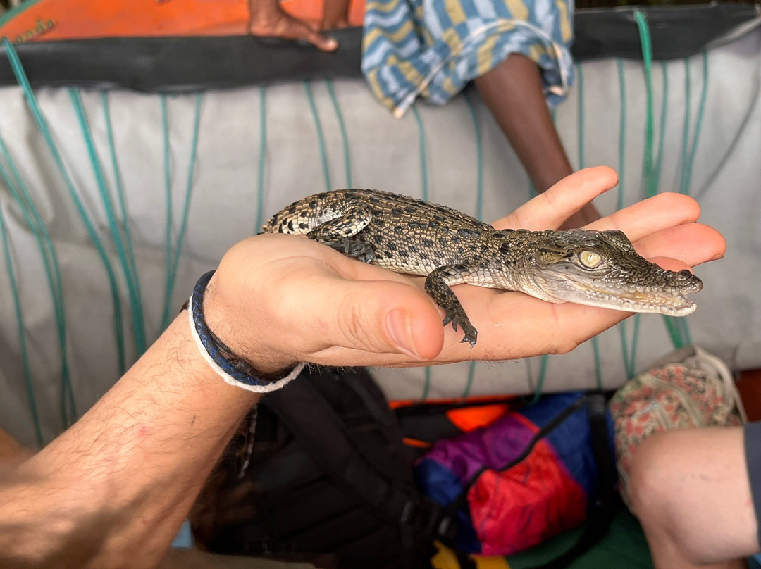 Lucky Boat Safari-班托塔必去景点