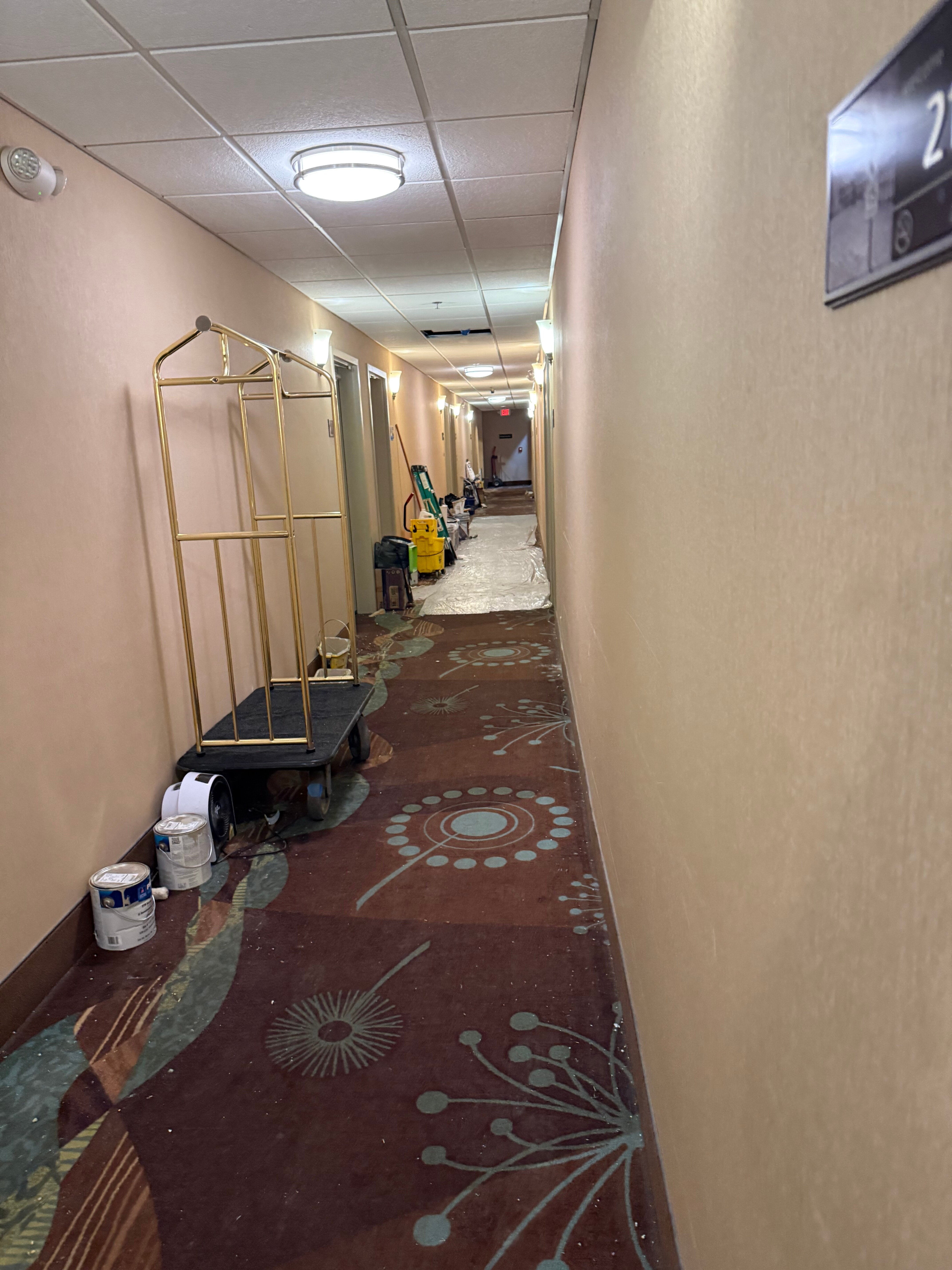 黎巴嫩汉普顿酒店-酒店景观