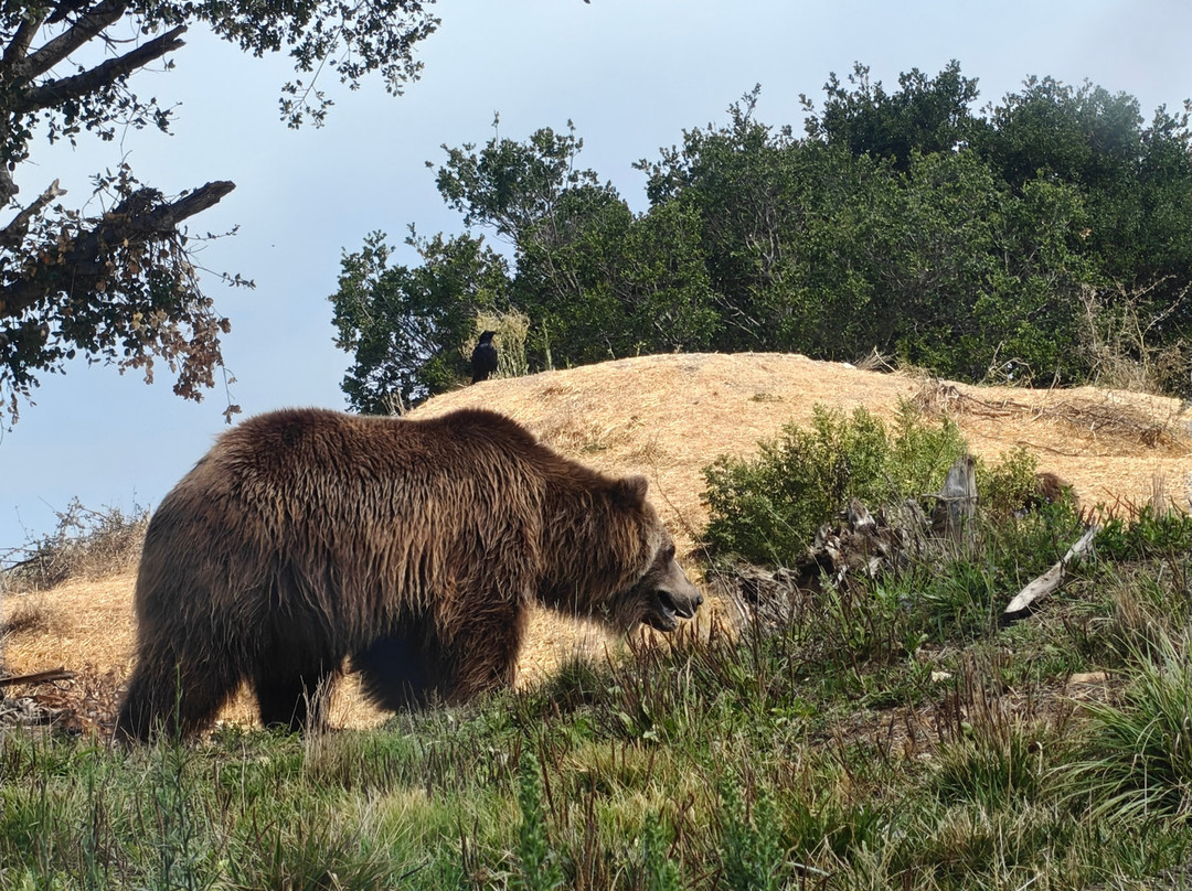 奥克兰动物园-奥克兰必去景点