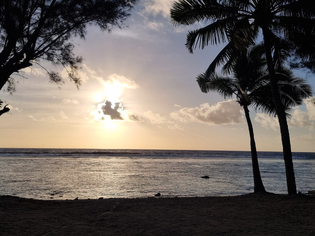 魔术金沙别墅主图