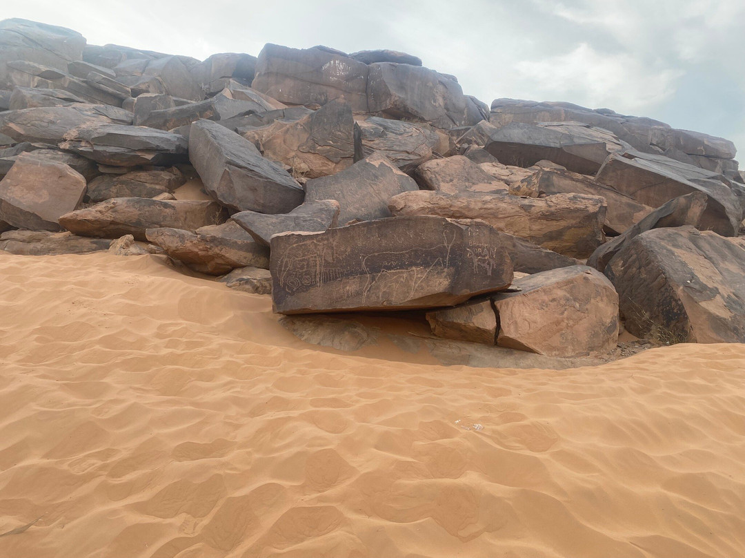 Hotel Bladi Palace主图