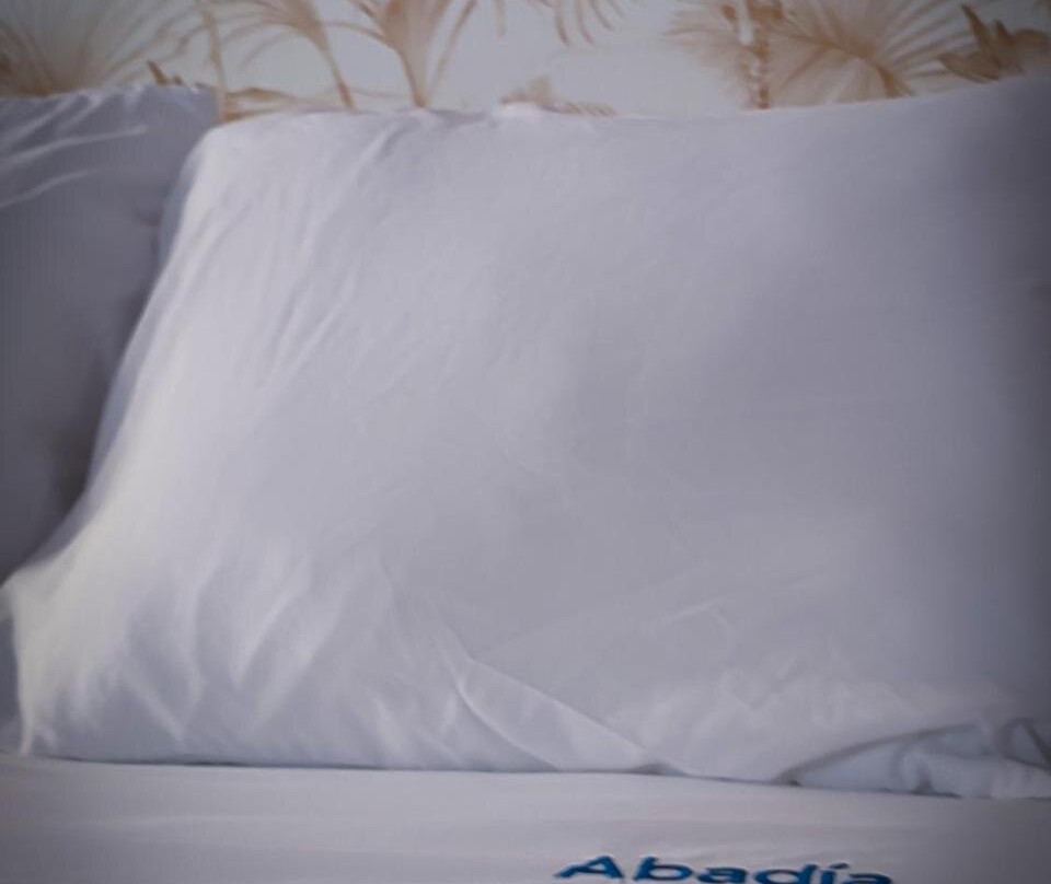 Apartamentos Abadia.