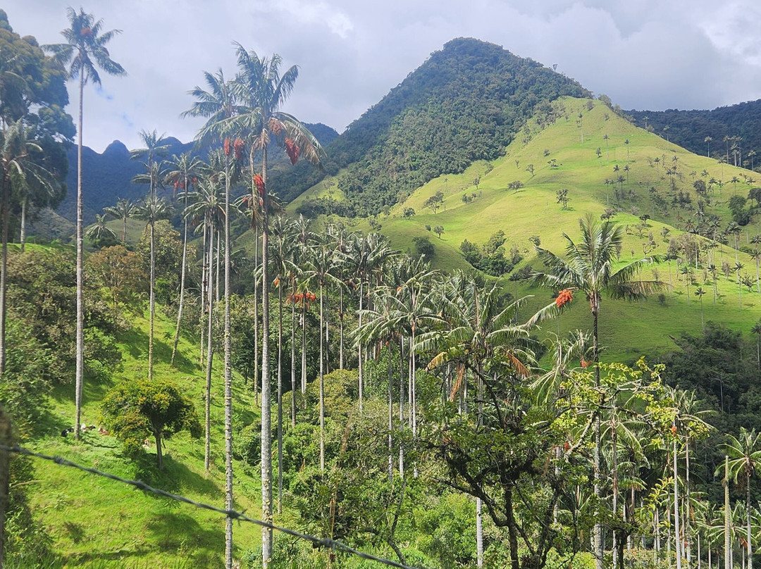 Andes Adventure-萨伦托必去景点