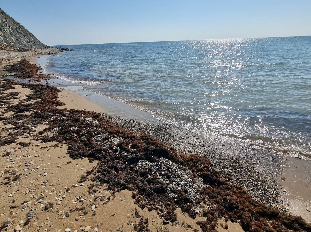 Central Beach-Arkhipo-Osipovka必去景点