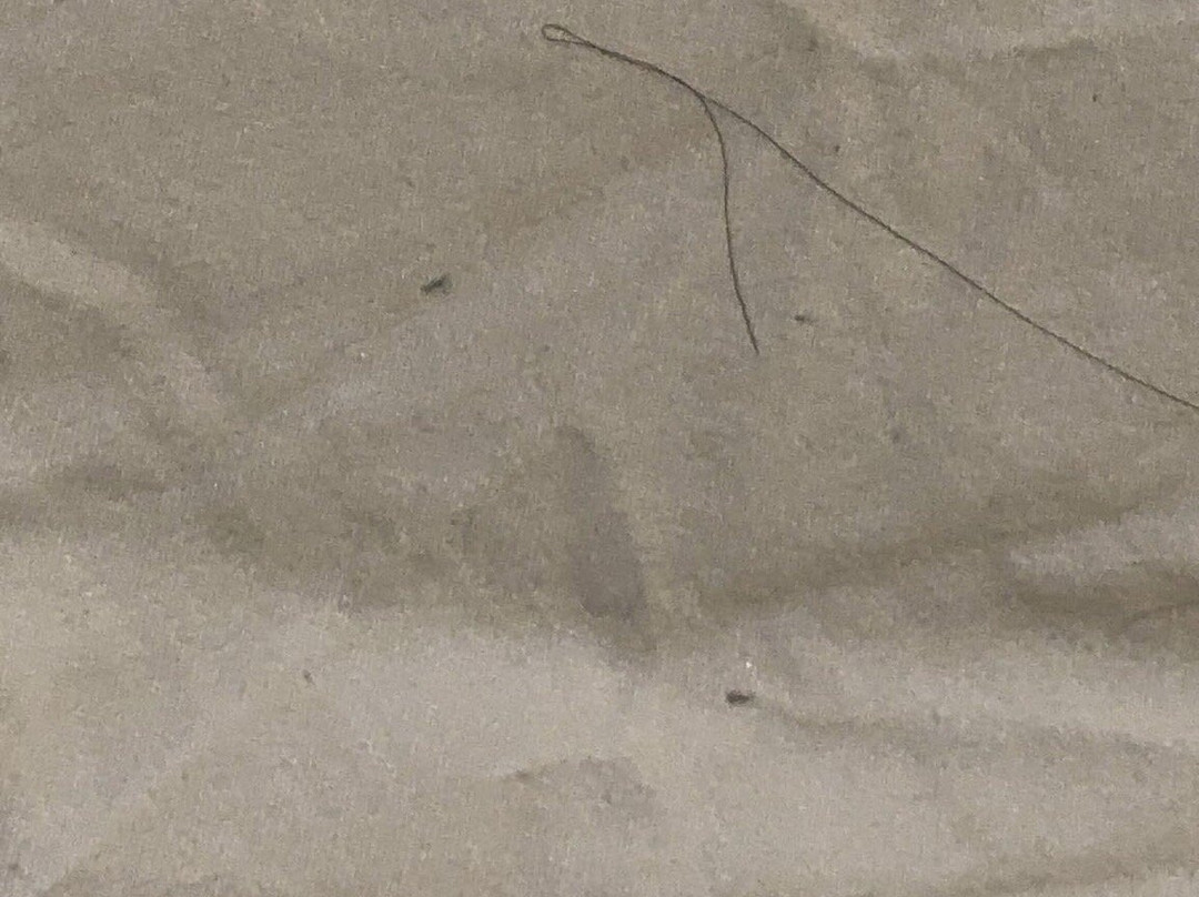 Quarrie House Guesthouse主图