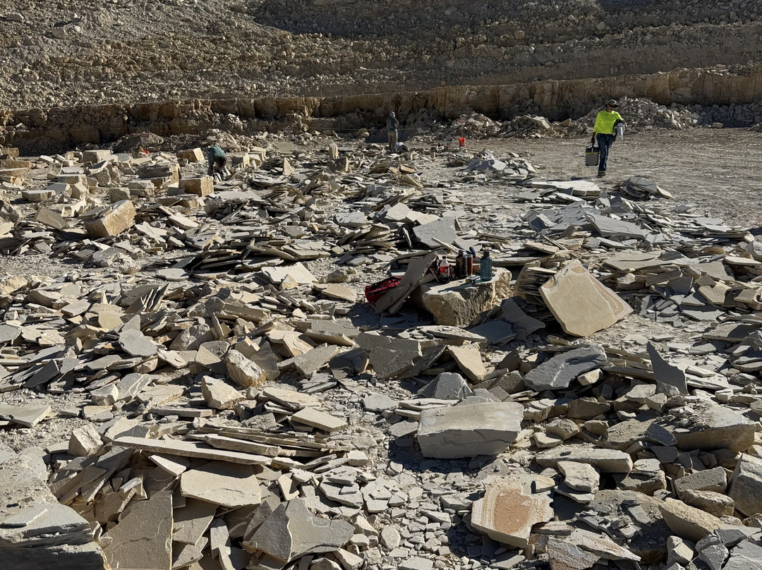 Fossil Lake Safari By Fossilera Adventures-Kemmerer必去景点