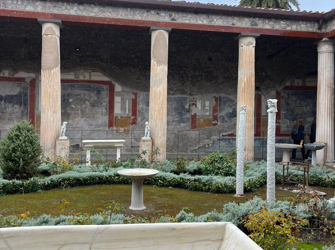 Dario Davide Archaeologist-庞贝必去景点