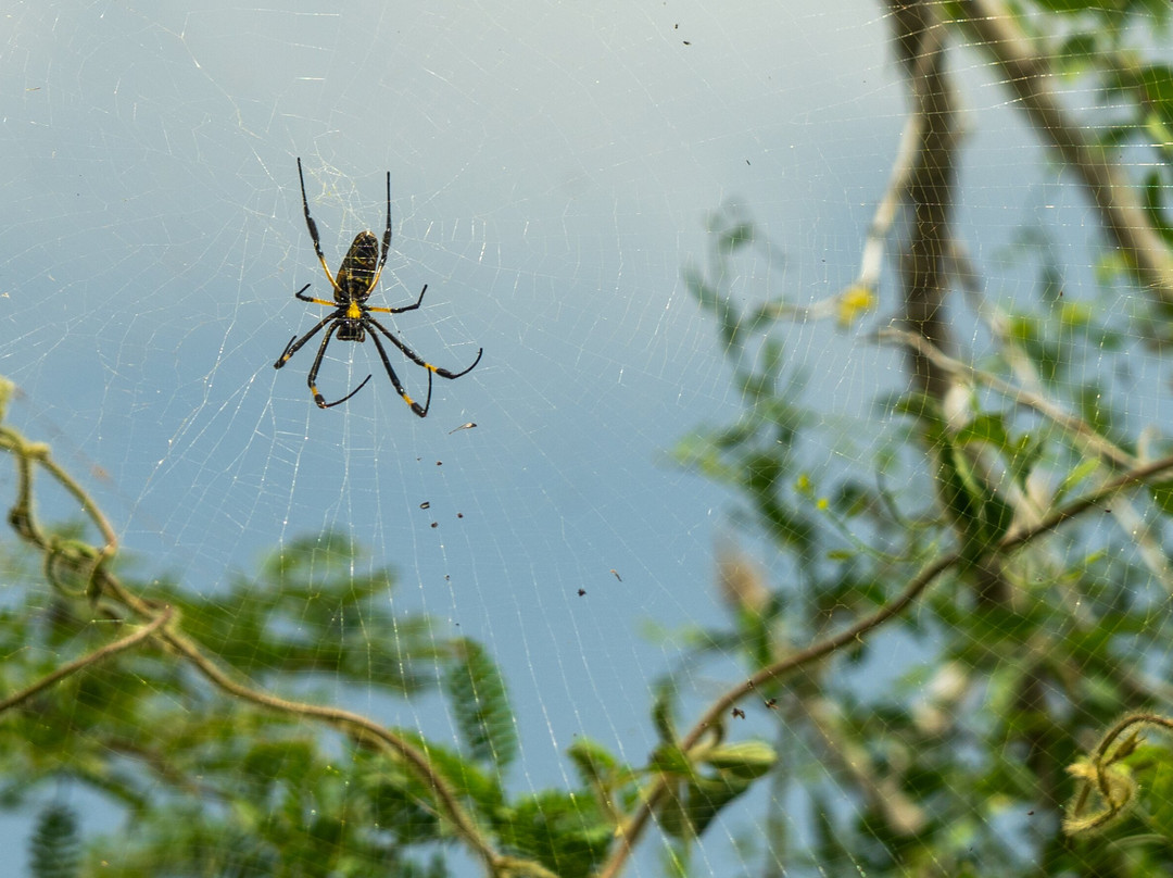 Ddudu Tours-博阿维斯塔必去景点