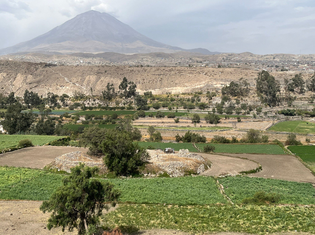 Volcan Misti-阿雷基帕必去景点