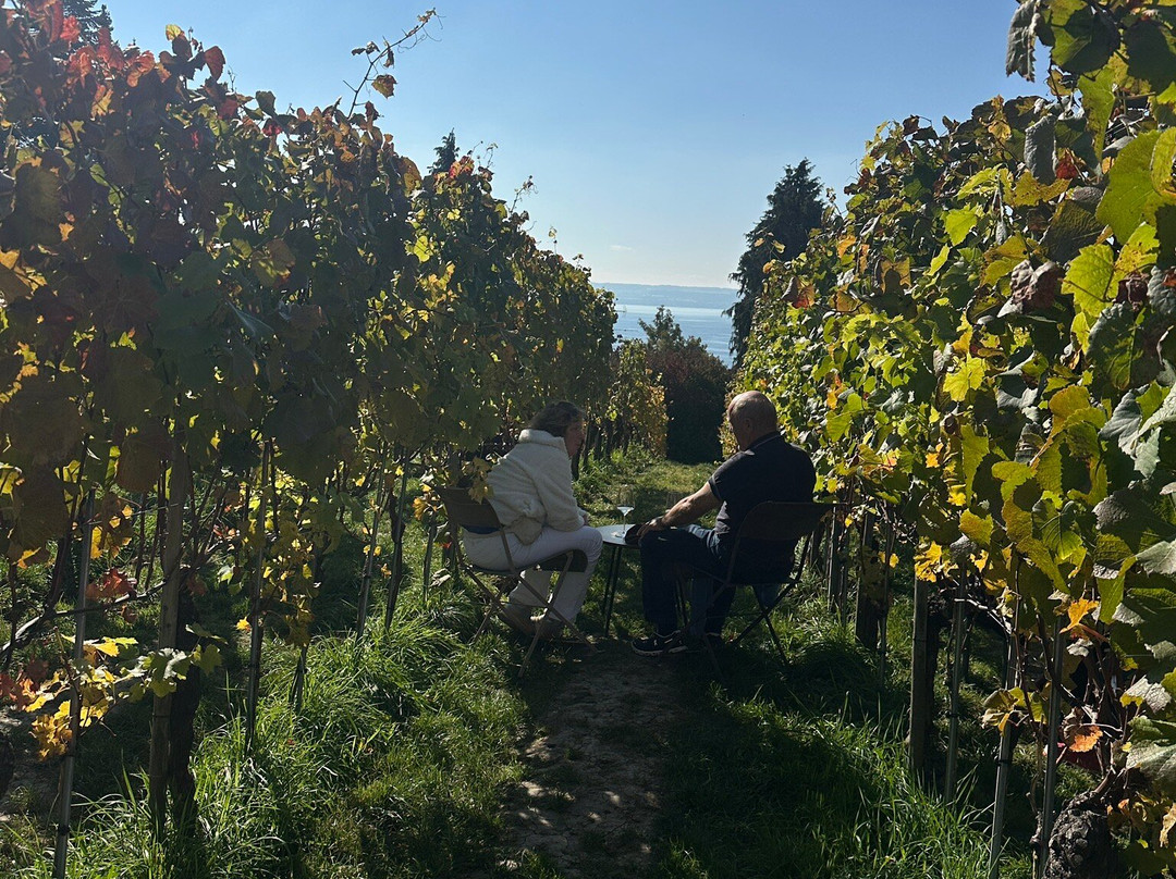 Weingut Aufricht-梅尔斯堡（博登湖）必去景点