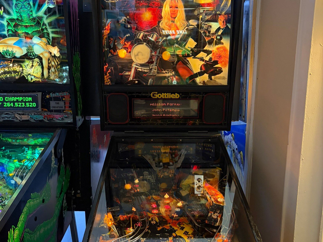 Appalachian Pinball Museum-亨德森维尔必去景点