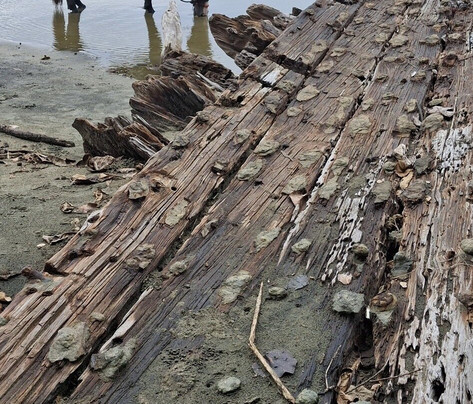 Izzy Rides CR-旧港必去景点