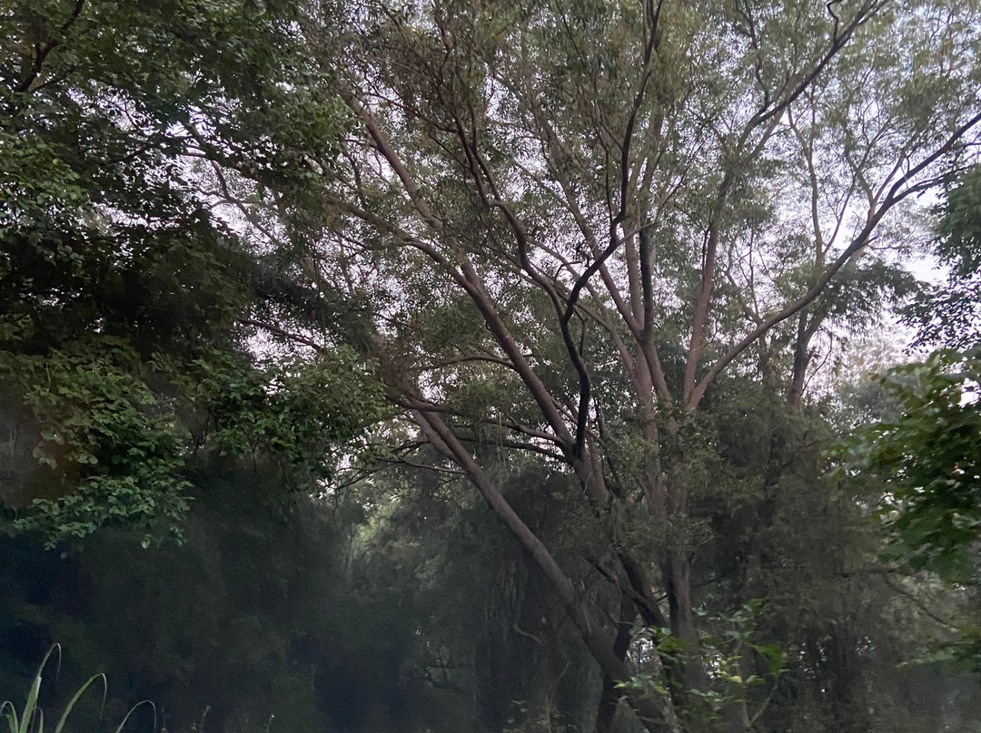 Kanha Jungle Lodge主图