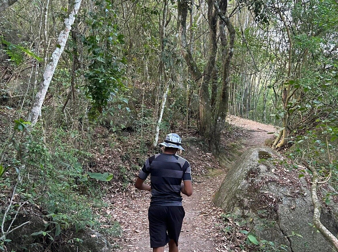 Trilha Pedra do Telégrafo-里约热内卢必去景点